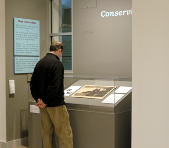 Conservation Corner
