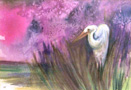 6-Holman (Egret in Tall Grass)