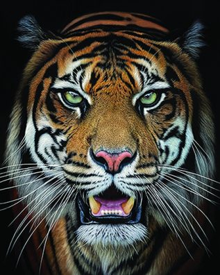 Large painting of a tiger