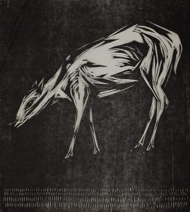 Etching of a young deer on a black background by 